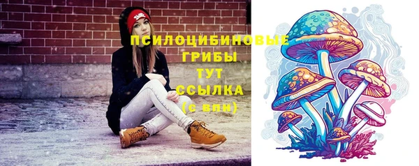 мяу мяу мука Абаза