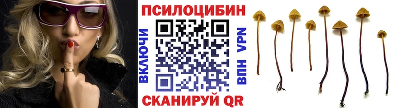 Псилоцибиновые грибы Cubensis  наркота  Екатеринбург 