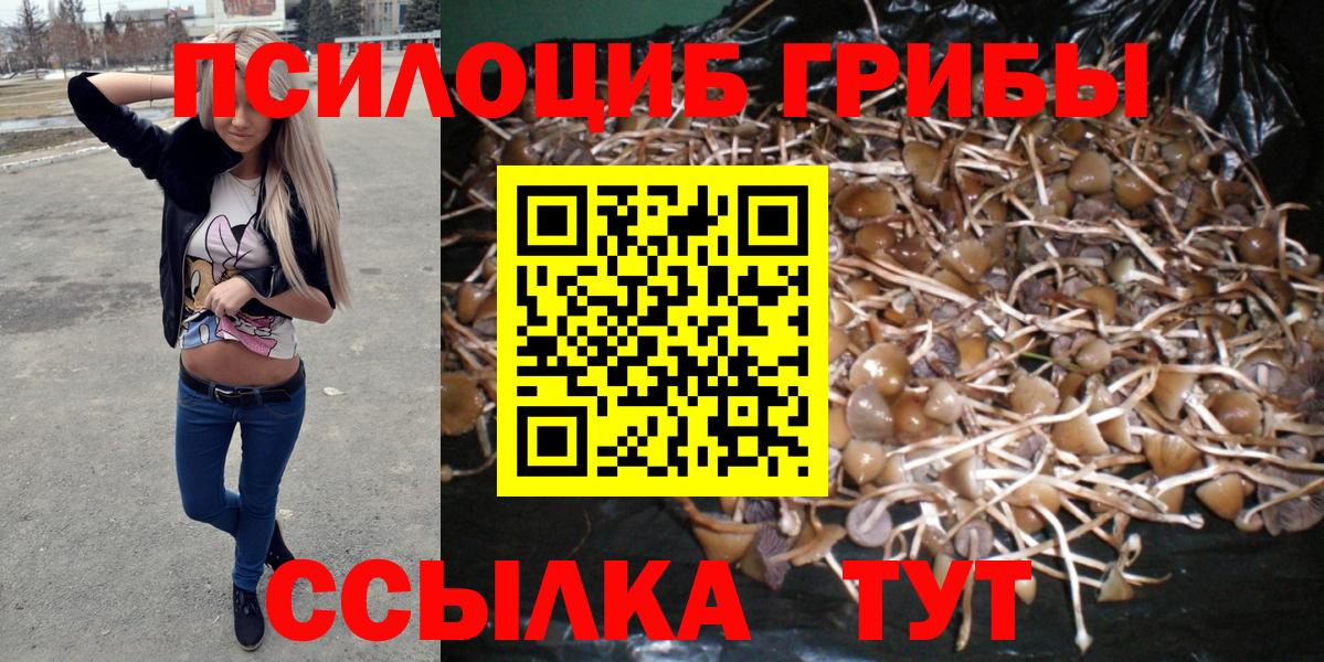 Галлюциногенные грибы мицелий Екатеринбург