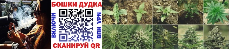 где можно купить omg ссылки Каннабис VHQ Екатеринбург